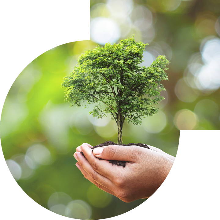 關懷人類、文化、環境與社會